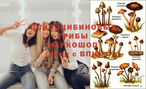 хмурый Кинешма