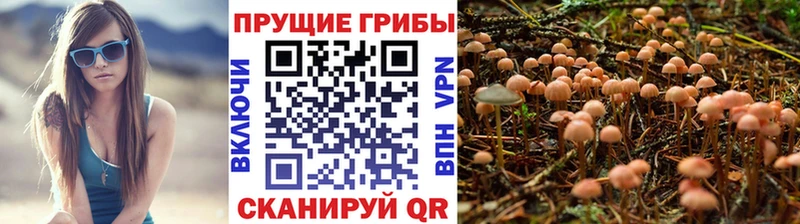 Галлюциногенные грибы ЛСД  Купить  Нестеров 